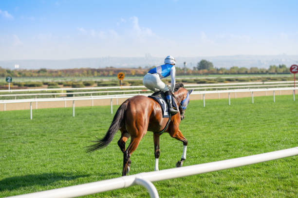 cheval de course sur la piste d'herbe. - jockey photos et images de collection