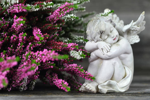 istock Guardian angel and heather flowers 1184456946
