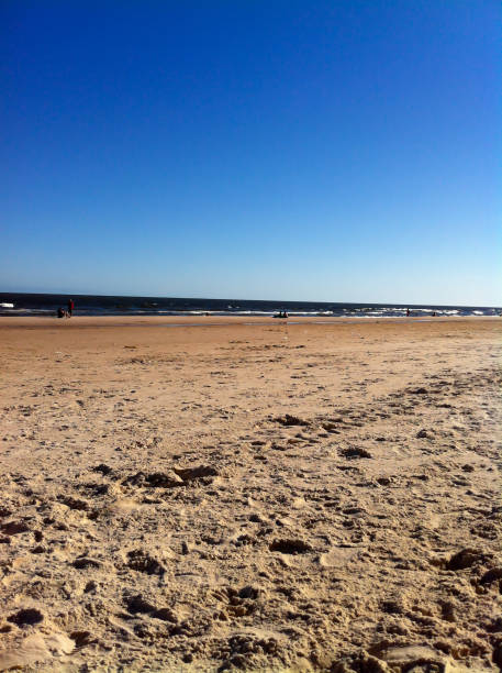 istock Sunny day at the beach 1184458138