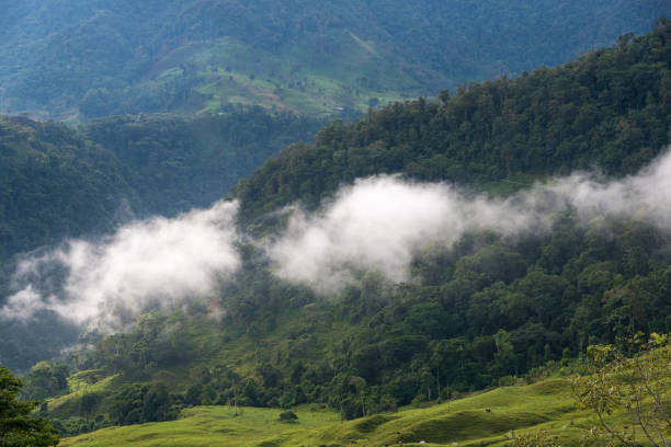 istock Tropical forest landscape between mountains in Colombia. 1184458268