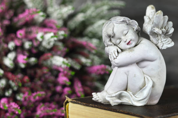 istock Guardian angel sleeping on the book 1184458569