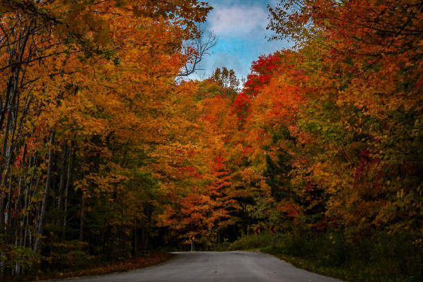 istock Autumn roads 1184460547