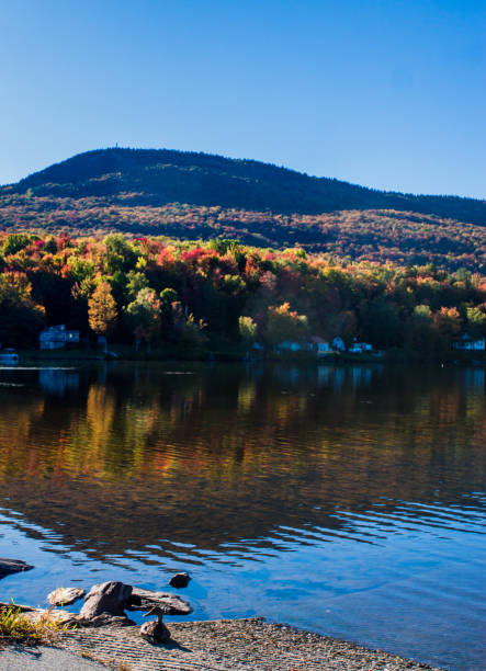 istock fall foliage in Vermont countryside 1184461579