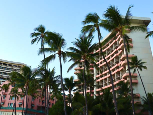 istock Sunset on Waikiki beach Honolulu Hawaii 1184461859