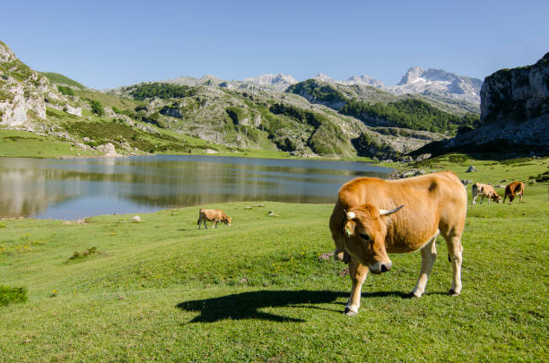 Lakes of Covadonga