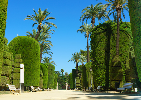 Jardín verde genovesa en Cádiz, Andalucía, España photo