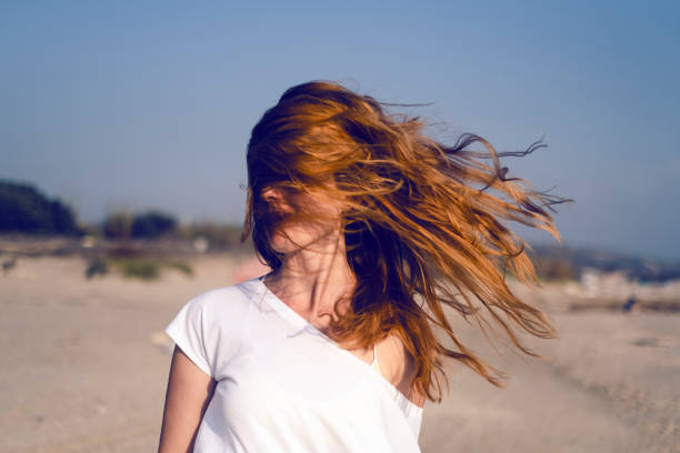 istock Autumn Light at The Beach 1184465570