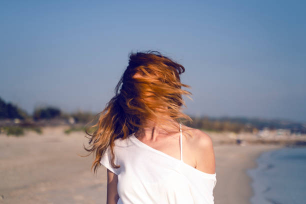 istock Autumn Light at The Beach 1184465686
