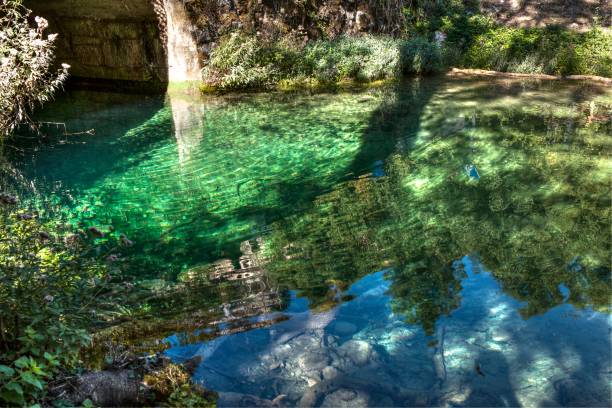 istock green color water 1184467014