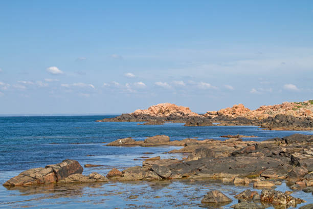 istock In The nature reserve Hovs Hallar, 1184467092