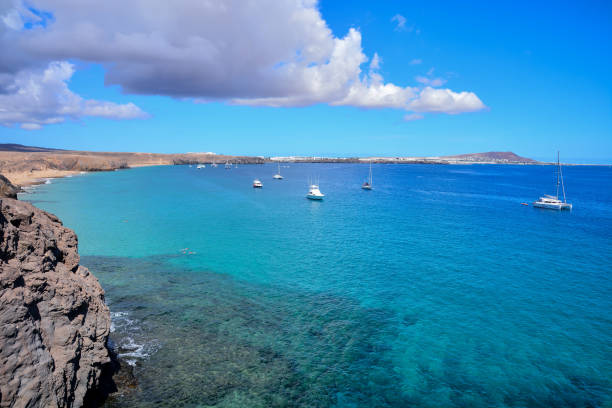 istock Landscape in Tropical Volcanic Canary Islands Spain 1184467279