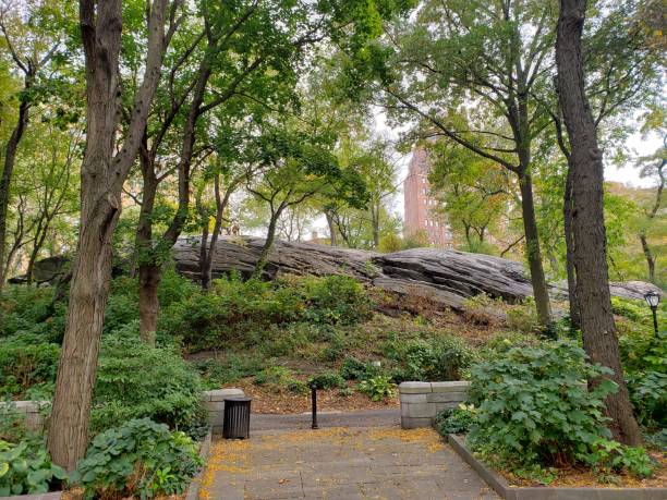 istock Trees and rocks and foot path 1184474000