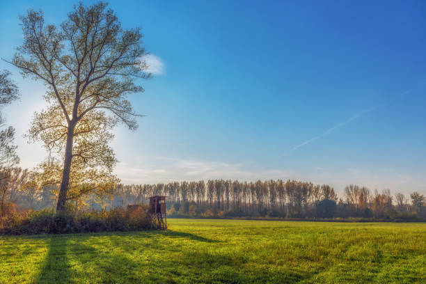 stoisko myśliwskie - hunting blind zdjęcia i obrazy z banku zdjęć