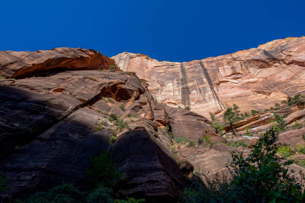 istock Zion National Park 1184478913