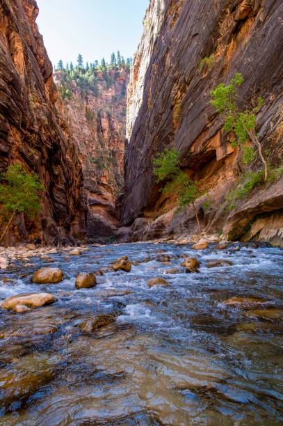 istock Zion National Park 1184479053