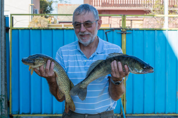 Senior man holds caught fish in his hand