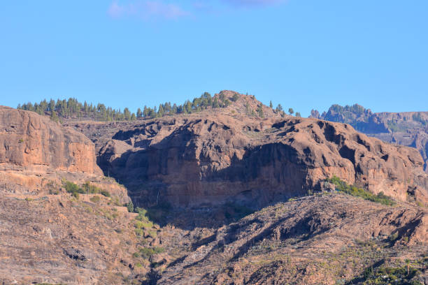 istock Landscape in Tropical Volcanic Canary Islands Spain 1184485465
