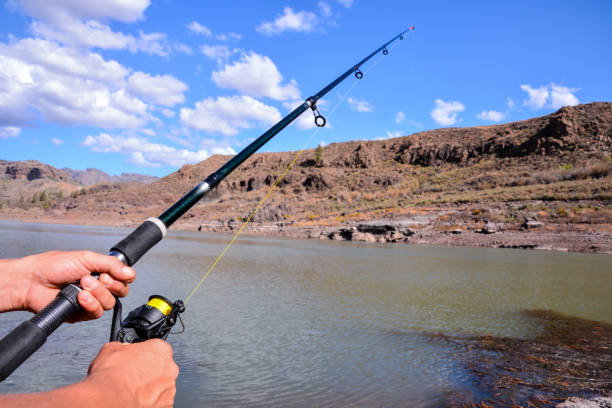 istock Fishing with rod on lake 1184485568
