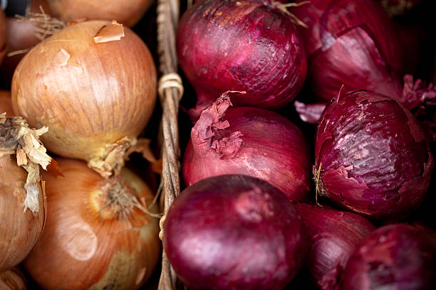 red and white organic onions stock photo