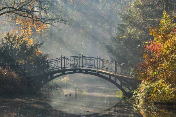 istock Beautiful autumn colorful landscape. 1184491153