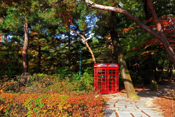 A red public telephone booth is installed in the red autumn forest.