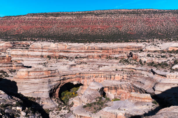 istock Sipapu Bridge at Natural Bridges Natural Monument 1184492140