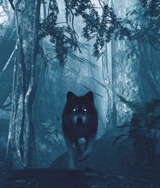 Wolf in the dark forest,3d illustration stock photo