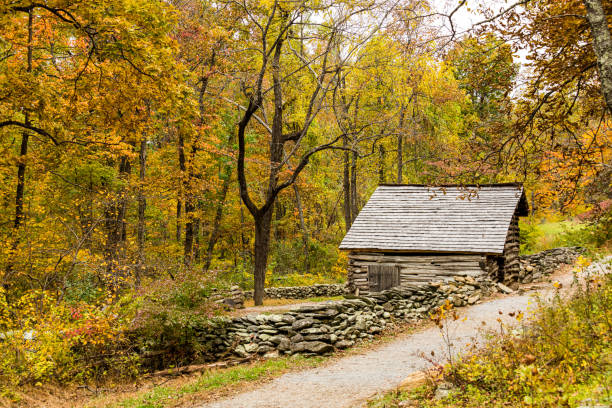 istock Cabin by the Road 1184500682