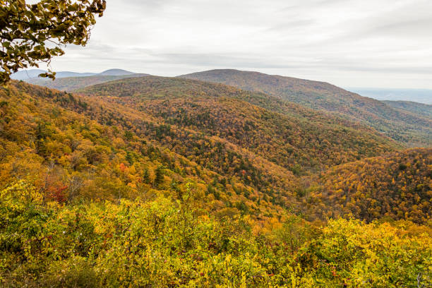 istock Autumn in Virginia 1184500694