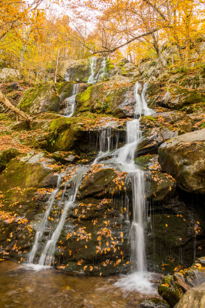Dark Hollow Falls 2 Autumn on Skyline Drive in the Shenandoah National Park, Virginia.Dark Hollow Falls in the Shenandoah National Park, Virginia. shenandoah national park stock pictures, royalty-free photos & images