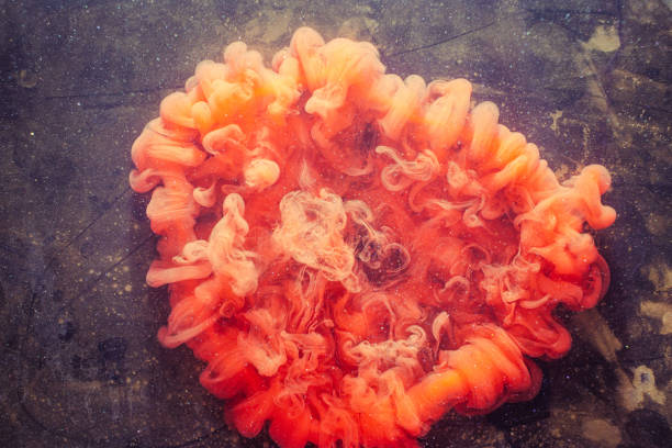 Creative background. Fantasy smoke puff. Vibrant orange glitter ink water explosion.