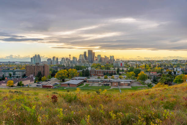 istock Canada, Calgary, Panoramic view of city at sunset in the fall 1184508399
