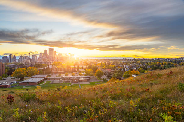istock Canada, Calgary, Panoramic view of city at sunset in the fall 1184508498