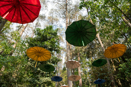 Colorful umbrellas decorating glass ceiling