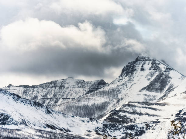 Winter Scenic, Waterton National Park, Alberta, Canada