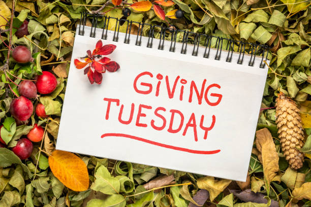 Giving Tuesday handwriting in an art sketchbook