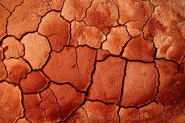 Photo of Dry Cracked Georgia Clay