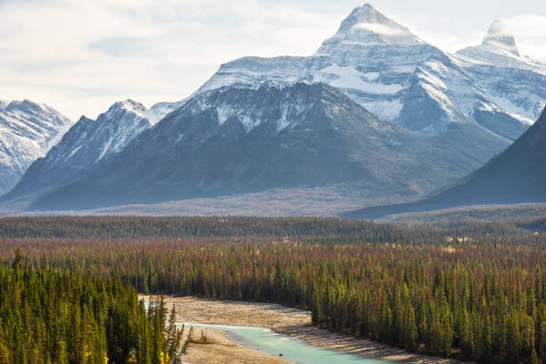 istock High angle View Of the bow river flowing through mountainous landscape 1184513097