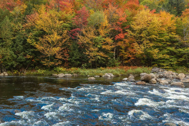 istock Autumn foliage in the Adirondacks 1184514195