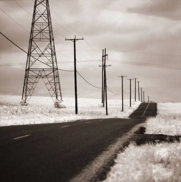 Asphalt Road and Telephone Poles imaged in infrared