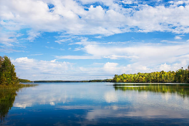istock Autumn landscape with  lake and trees 118451465