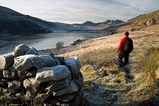 Welsh Walker  snowdonia national park stock pictures, royalty-free photos & images