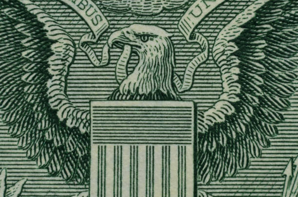 extreme close-up of the american eagle, from the us coat of arms, on the back of an american one dollar bill. - close up one dollar bill history finance imagens e fotografias de stock