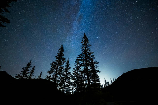 istock Low angle view of forests under starry sky,Alberta 1184522934
