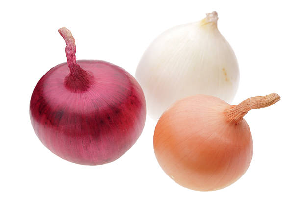 three onion bulbs stock photo