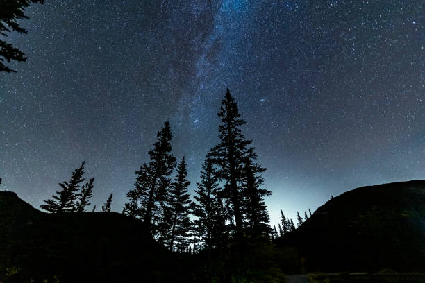 istock Low angle view of forests under starry sky,Alberta 1184525033