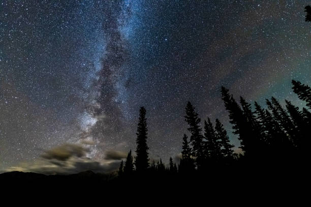 istock Low angle view of forests under starry sky,Alberta 1184525051