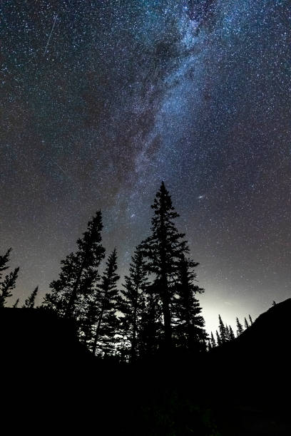 istock Low angle view of forests under starry sky,Alberta 1184525167