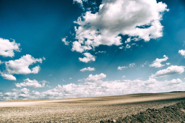 Land of field of green trees and wide horizons