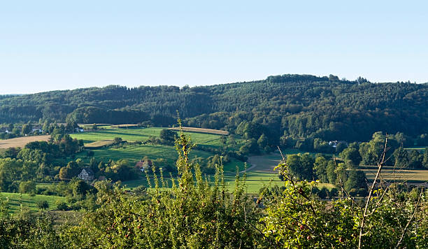 sunny landscape around Emmendingen